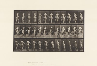 Lauta 50. Kävely, ämpärin kantaminen tekijältä Eadweard Muybridge