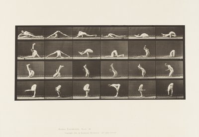 Levy 510. Vääntymät maassa, 1872-1885 tekijältä Eadweard Muybridge