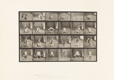 Levy 511. Vääntymät maassa tekijältä Eadweard Muybridge