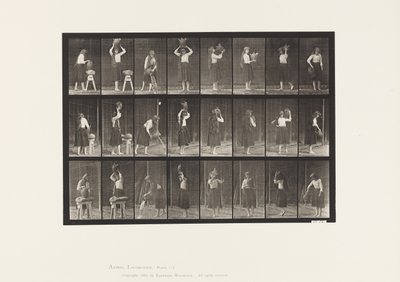 Levy 517. Sekalaiset liikkeet vesipurkilla tekijältä Eadweard Muybridge