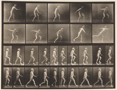 Levy 519. A, heittolevy; B, nousevat portaat; C, Walking., 1872-1885 tekijältä Eadweard Muybridge