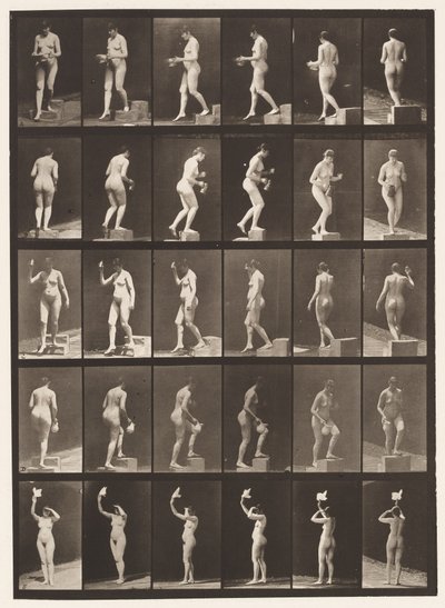 Levy 525. A, laskeva askelma; B, Ascending Step;, 1872-1885 tekijältä Eadweard Muybridge