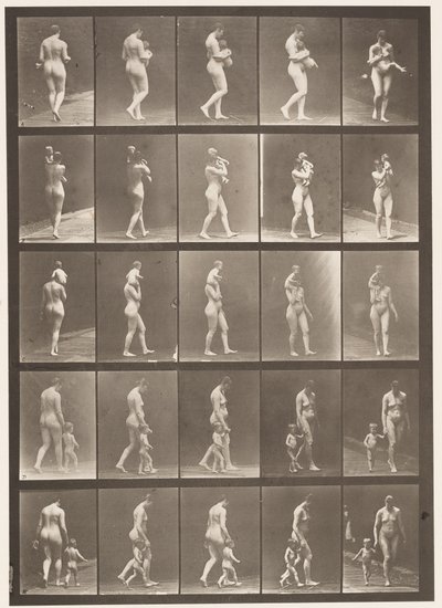 Levy 528. A,B,C tekijältä Eadweard Muybridge