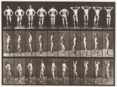 Levy 530. Erilaisia asentoja tekijältä Eadweard Muybridge