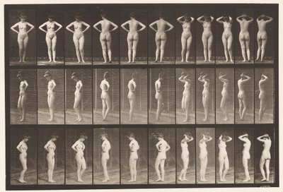 Levy 531. Erilaisia asentoja tekijältä Eadweard Muybridge