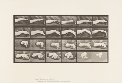 Levy 532. Käden liike; Ympyrän piirtäminen, 1885 tekijältä Eadweard Muybridge
