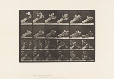 Levy 533. Käden liike; Kädet ristissä, 1885 tekijältä Eadweard Muybridge