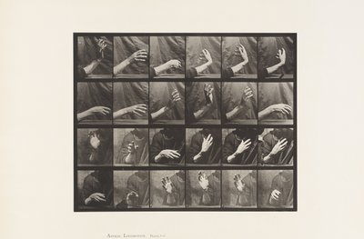 Levy 535. Käden liike; Lyöntiaika, 1885 tekijältä Eadweard Muybridge