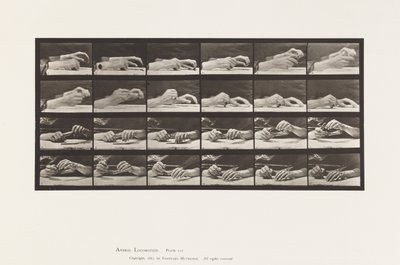 Levy 536. Käden liike; Käsien vaihtokynä tekijältä Eadweard Muybridge