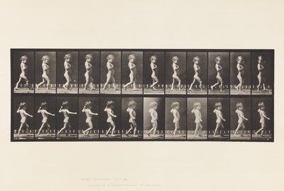 Levy 540.A, jousijalat; Poika; B, Spinal Caries; Kävelevä tyttö, 1885 tekijältä Eadweard Muybridge