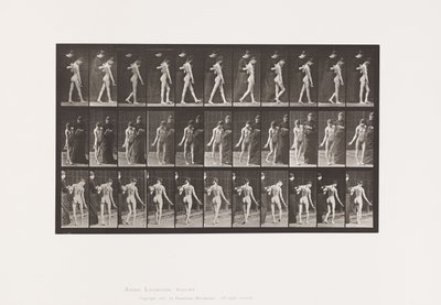 Levy 541. Multippeli aivo-selkäydinskleroosi (Choreic); Kävely tekijältä Eadweard Muybridge