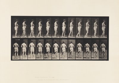 Levy 542. Multippeli aivo-selkäydinskleroosi - kävely tekijältä Eadweard Muybridge
