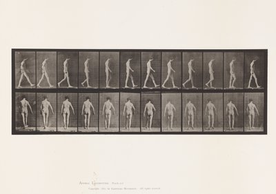 Levy 546. Liikunta-ataksia; Kävely, 1885 tekijältä Eadweard Muybridge