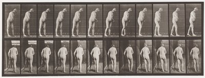 Levy 547. Hemiplegia; Kävely kainalosauvojen kanssa, 1885 tekijältä Eadweard Muybridge