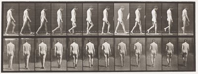 Levy 549. Epilepsia; Kävely, 1885 tekijältä Eadweard Muybridge