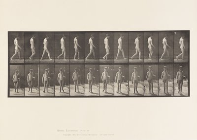 Levy 551. Epilepsia; Kävely, 1885 tekijältä Eadweard Muybridge