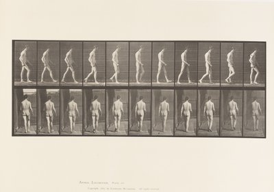 Levy 554. Liikunta-ataksia; Kävely, 1885 tekijältä Eadweard Muybridge