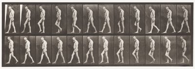 Levy 555. Jalkojen lihasatrofia; Aikuinen, A,B, Kävely, 1885 tekijältä Eadweard Muybridge