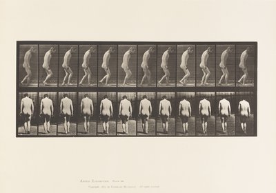 Levy 558. Paraplegia; Osittainen; Kävely, 1885 tekijältä Eadweard Muybridge