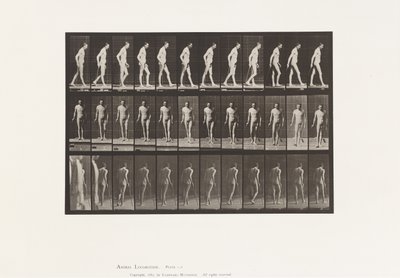 Levy 559. Disseminoitu skleroosi; Kävely Canen kanssa tekijältä Eadweard Muybridge