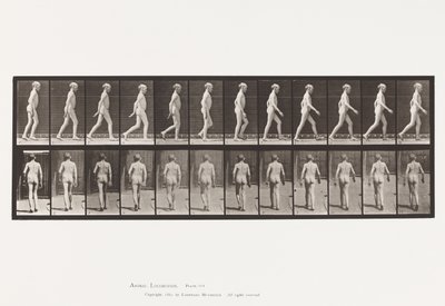 Levy 562. Selkärangan lateraalinen kaarevuus; Kävely tekijältä Eadweard Muybridge