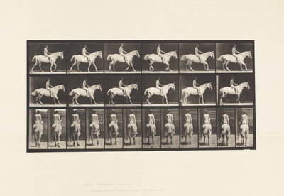 Levy 582. Kävely;Satula; Rider, 43, alaston; Vaaleanharmaa Horse Smith tekijältä Eadweard Muybridge
