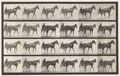 Lauta 587. Kävely; Sulky; Sorrel Mare Nellie Rose, 1885 tekijältä Eadweard Muybridge