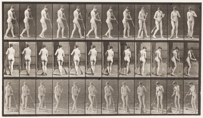 Levy 58. Kävely, kääntyminen lattiaa lakaisemassa tekijältä Eadweard Muybridge