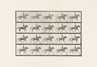 Lauta 591.Keinu tekijältä Eadweard Muybridge