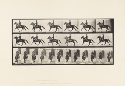 Levy 593. Keinu (vauhti): Satula; Brown Horse Pronto tekijältä Eadweard Muybridge