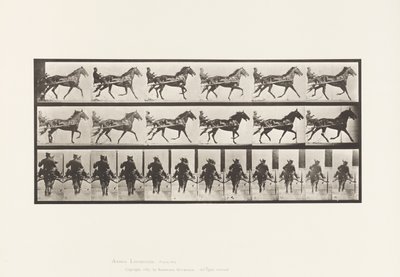 Levy 594. Keinu (tahdistus): Sulky; Brown Horse Pronto tekijältä Eadweard Muybridge