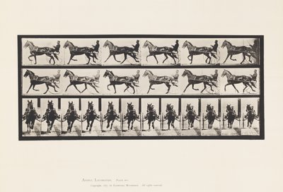 Levy 595. Keinu (tahdistus): Sulky; Brown Horse Pronto tekijältä Eadweard Muybridge