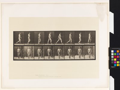 Lauta 5. Kävely tekijältä Eadweard Muybridge