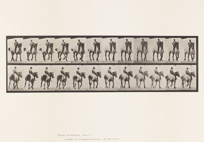 Levy 600. Ravi; Ilman satulaa; Tummanharmaa Dusel tekijältä Eadweard Muybridge