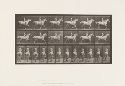 Levy 602. Ravi;Paljas selkä; Rider, 43, Alaston; Vaaleanharmaa Horse Smith, 1885 tekijältä Eadweard Muybridge