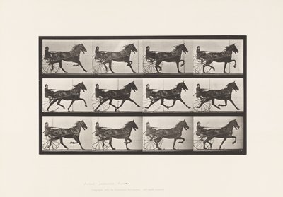 Levy 606. Ravi; Sulky; Bay Horse, Ruuben tekijältä Eadweard Muybridge
