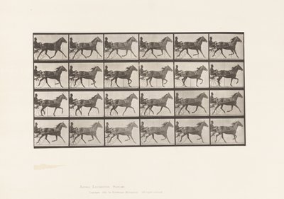 Levy 607. Ravi; Sulky; Bay Mare, Lizzie M. tekijältä Eadweard Muybridge
