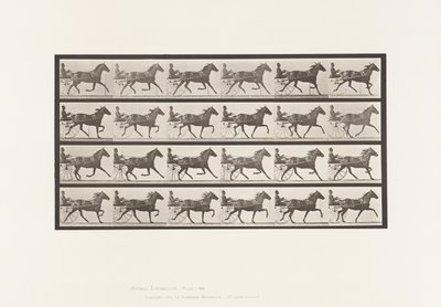 Levy 609. Ravi; Sulky; Bay Mare, Lizzie M. tekijältä Eadweard Muybridge