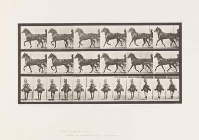 Levy 612. Ravi; Sulky; Bay Horse, Dereumd tekijältä Eadweard Muybridge