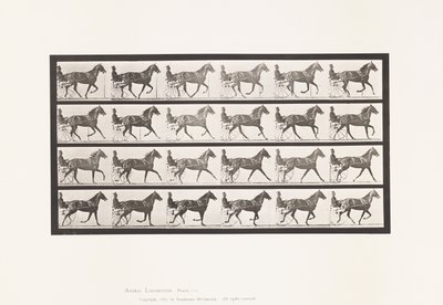 Levy 614. Ravi; Breaking to Gallop; Sorrel Mare Flode Holden tekijältä Eadweard Muybridge