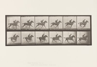 Lauta 624. Laukka; Satula; Bay Horse Daisy tekijältä Eadweard Muybridge