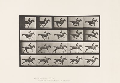 Lauta 627. Laukka; Täysverinen Bay Mare Annie G. tekijältä Eadweard Muybridge