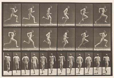 Levy 62. Käynnissä täydellä nopeudella., 1872-1885 tekijältä Eadweard Muybridge