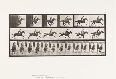 Lauta 633. Laukka; Satula; Täysverinen Bay Horse Bouquet tekijältä Eadweard Muybridge