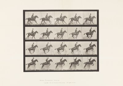 Levy 636. Esteen hyppy; Satula; Valmistautuminen hyppyyn tekijältä Eadweard Muybridge