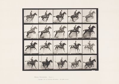 Levy 640. Esteen hyppy; Satula; Bay Horse Daisy tekijältä Eadweard Muybridge