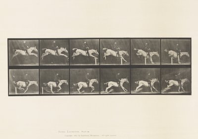 Levy 641. Esteen hyppy; Satula; Knocking Over Hurdle ja tekijältä Eadweard Muybridge