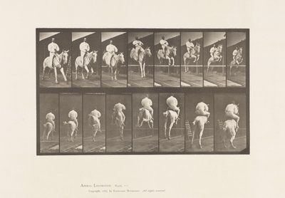 Levy 644. Esteen hyppy; Satula; Raivaus ja laskeutuminen tekijältä Eadweard Muybridge