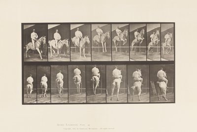 Levy 645. Esteen hyppy; Satula; Raivaus ja laskeutuminen tekijältä Eadweard Muybridge