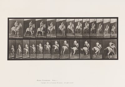 Tuntematon kuva tekijältä Eadweard Muybridge